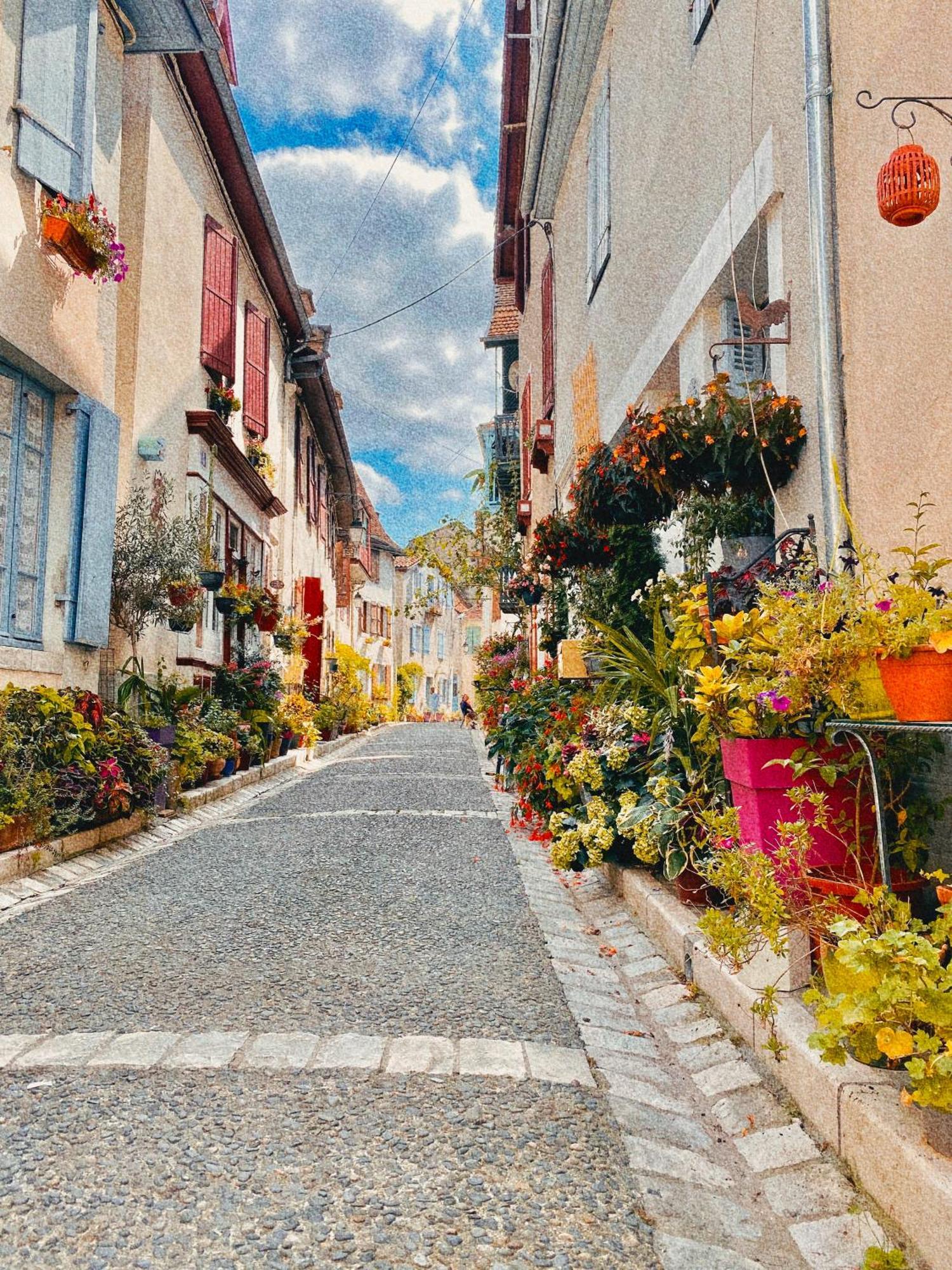 Agreable Petit Gite Avec Piscine Et Jardinet Salies-de-Béarn 외부 사진